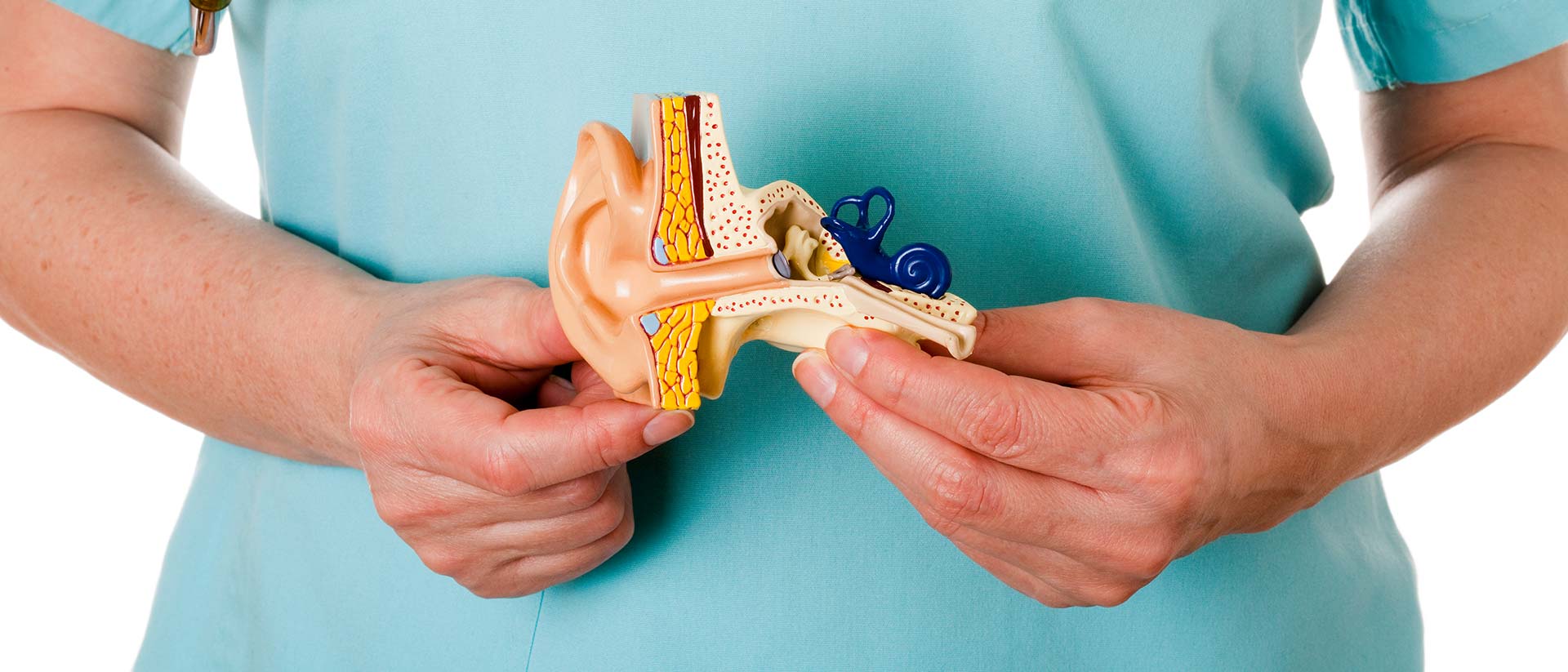 Вестибулярный неврит: «Внезапная потеря слуха вследствие нарушений в системе равновесия»